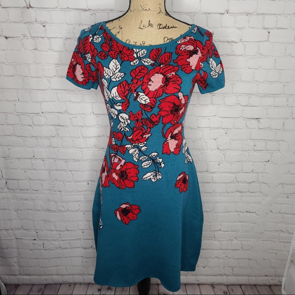 New with Tags gorgeous Maeve- Anthropology dress.
